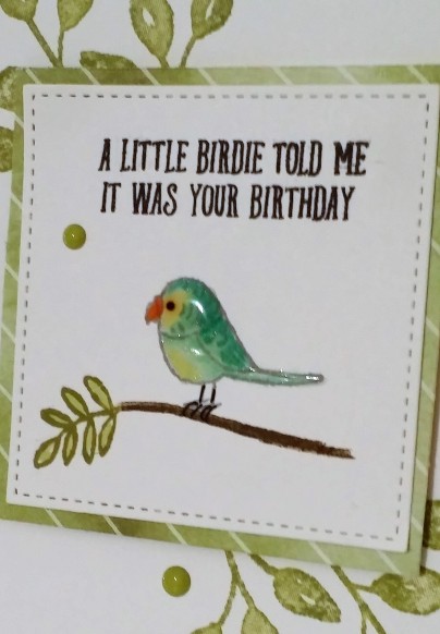 birthday bird2